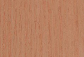 Apricot T166