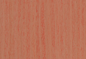 Lightly Peach T167