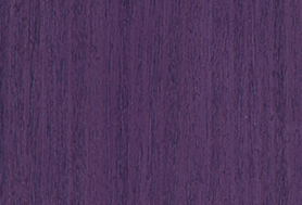 Trendy Purple T164