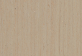 Butter White T142