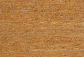 Golden Maple T124